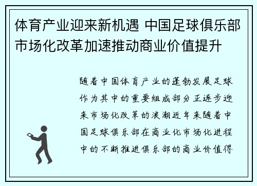 体育产业迎来新机遇 中国足球俱乐部市场化改革加速推动商业价值提升